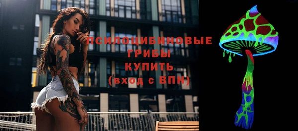МДПВ Переславль-Залесский