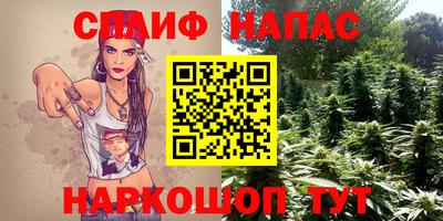 амф Донской