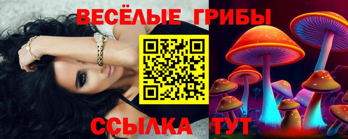 Псилоцибиновые грибы MAGIC MUSHROOMS  Туймазы 
